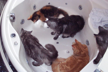 but where does the water go?