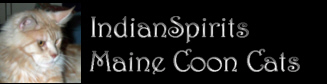 zu den indianspirits