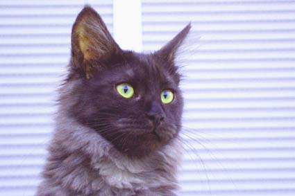 Missy: bin ich nicht sch�n?
