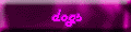 dogs
